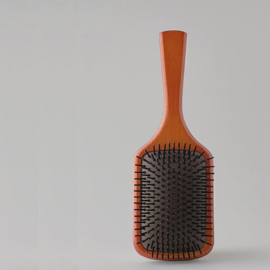 The Mini Paddle Brush